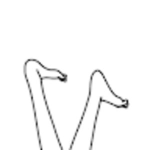 Meet your Posher, Dapph